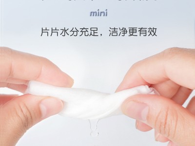 海氏海诺酒店专用杀菌消毒湿纸巾75%