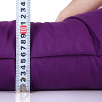 外贸亚马逊独立站跨境Pillow白鹅毛枕芯羽绒枕头柔软枕芯工厂批发
