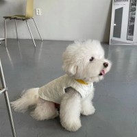 现货宠物狗狗INS外套韩版22秋冬新款爱心绗棉 保暖双面穿棉衣背心