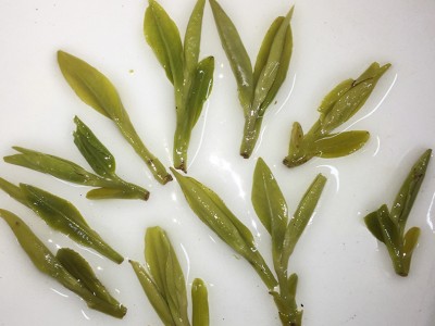 样茶茶叶组合装 几大系列茶叶看样  