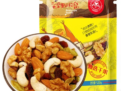 采坚果的松鼠 巴旦木腰果桃仁夏威夷