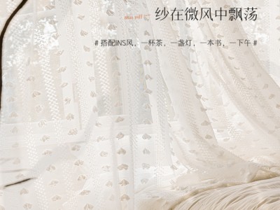 法式纱帘巴黎初雪纱ins美式轻奢白色
