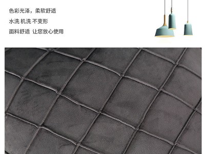 北欧天鹅绒抱枕靠垫客厅腰枕套沙发