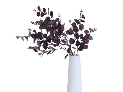 北欧轻奢彩色尤加利干花花束isn简约