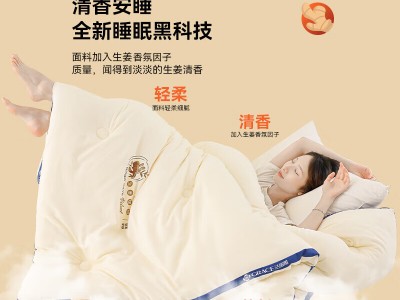 洁丽雅（Grace）被子四季通用保暖加