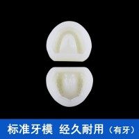 牙阴模印模牙科标准硅胶模型有牙无牙贴面练习备牙石膏排牙基托