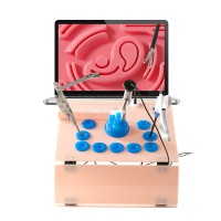 腹腔镜训练模拟器四把器械内窥镜十模块腹内缝合打结夹持训练