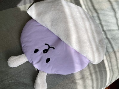 现货韩国INS四季新款宠物垫子蓬松保