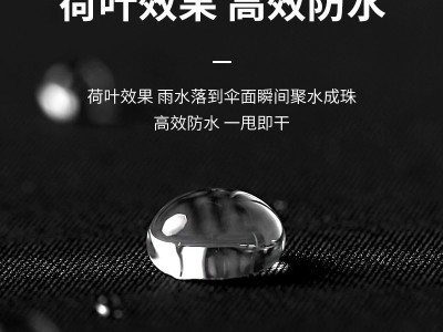 24骨全自动雨伞男大量批发广告伞女