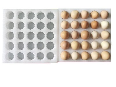 EPE珍珠棉鸡蛋托定制防震棉抗压防摔