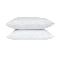 羽绒枕芯 亚马逊专供枕头 bed pillow 桃皮绒鸭毛枕2只装工厂直销