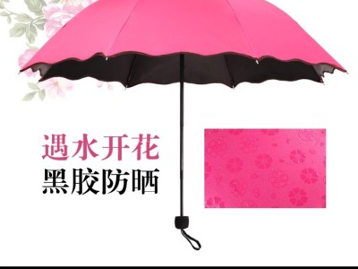新款创意简约伞遇水见花 高档品牌定