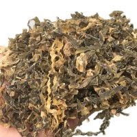 产地货源 优质水洗少盐多叶梅干菜外婆菜 霉菜扣肉浙江特产干货