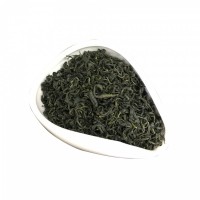 散装日照绿茶厂家一件代发松阳绿茶批发高山香茶新茶高山云雾春茶