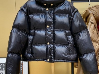 ce*ine 明星同款冬季新款连帽白鸭绒