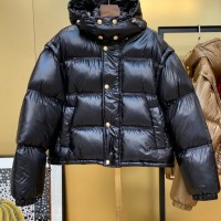 ce*ine 明星同款冬季新款连帽白鸭绒亮面女士羽绒服短款高端外套