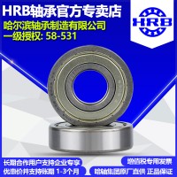 HRB哈尔滨轴承6202-2Z ZZ 2RS 2RZ开式及封闭轴承杭州公司直营