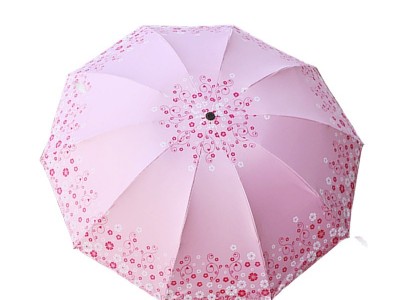 晴雨两用伞10骨加大黑胶双人单人太