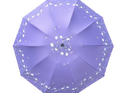 蒲公英防晒遮阳雨伞男女晴雨两用双