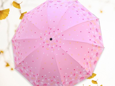 户外遮阳伞晴雨两用伞十骨加大黑胶