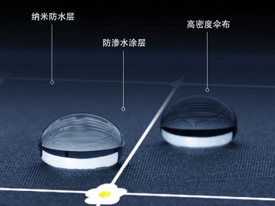 全自动大号雨伞女学生韩版小清新折