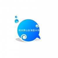 基地大量供应海桐毛球 盆栽海桐树苗球 地栽绿植海海桐小毛球