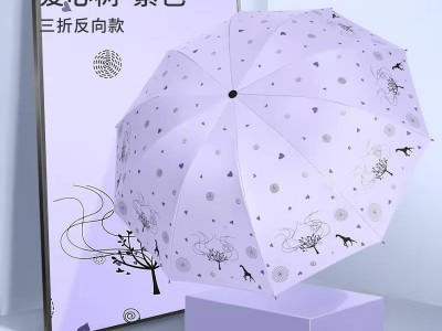 十骨加大双人伞黑胶晴雨伞遮阳伞防