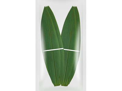 日本寿司料理 小竹叶 100枚/包保鲜