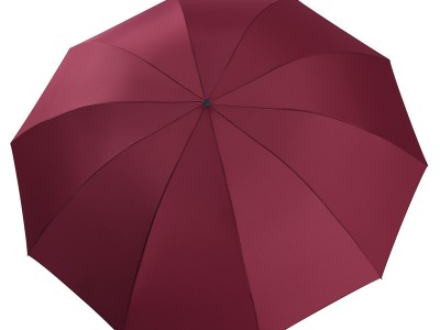 天堂伞3311E碰击布10骨加大加固三折