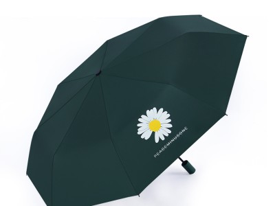 自动清新雏菊雨伞小巧便携折叠太阳