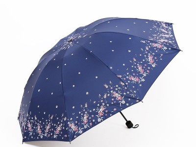 厂货晴雨两用黑胶伞十骨大号双人太