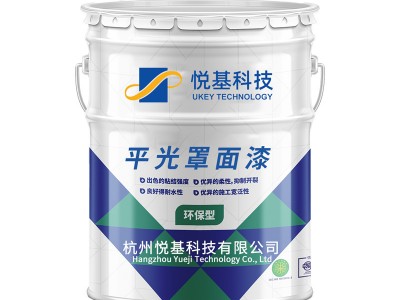 罩面漆封闭漆墙面保护水性罩面漆哑