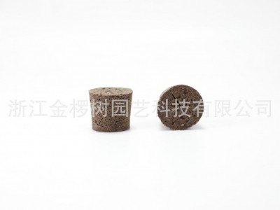 金椤树无土多肉海绵 生物炭绵基质3.