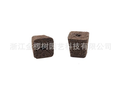 金椤树无土多肉海绵 生物炭绵基质育