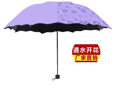 荷叶边遇水开花晴雨伞黑胶遮阳伞太
