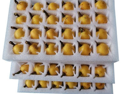枇杷托epe珍珠棉枇杷箱 水果包装内