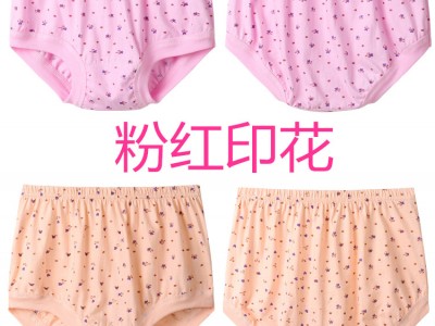 现货明星同款2021夏季运动女士内裤