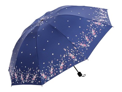 十骨65cm黑胶腊梅图案双人晴雨伞防
