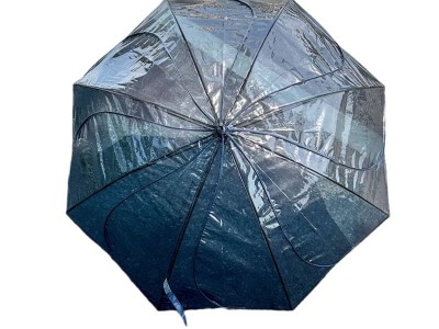 高颜值自动韩国ins风透明长柄雨伞晴