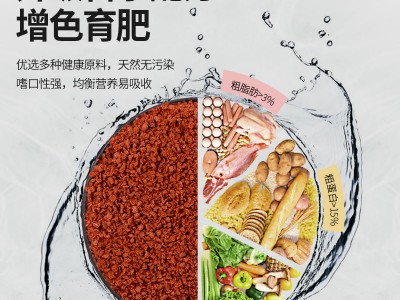 贴片鱼粮小型热带鱼食孔雀鱼饲料灯