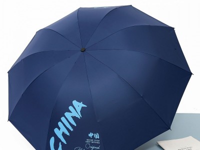 佳苹伞 包邮 雨伞定 制国潮中国风 1