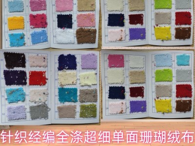 220GSM全涤单面珊瑚绒现货供应玩具