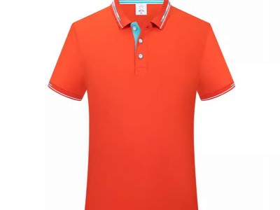 定制夏季短袖透气舒适翻领polo衫企