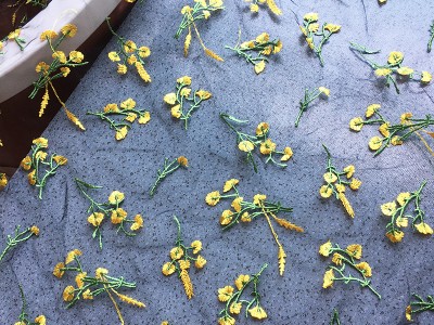 迎春花刺绣服装面料轻薄网纱绣花布