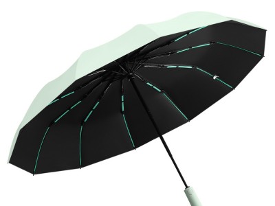 60骨雨伞自动大号抗风暴加固晴雨伞