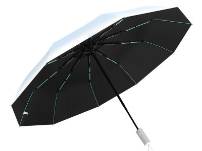 渐变20骨自动雨伞晴雨两用晴雨伞学