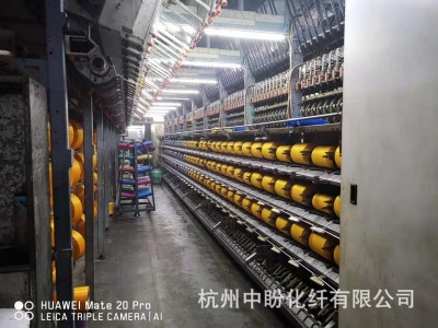 销售DTY300D/288F 低弹丝 有色丝 大