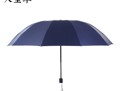 天堂伞正品33212E加大十骨强力拒水