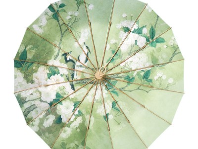 TIANBEI工厂16金杆骨复古伞晴雨伞两