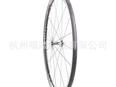 朝阳眼镜蛇H486外胎700x25C/28